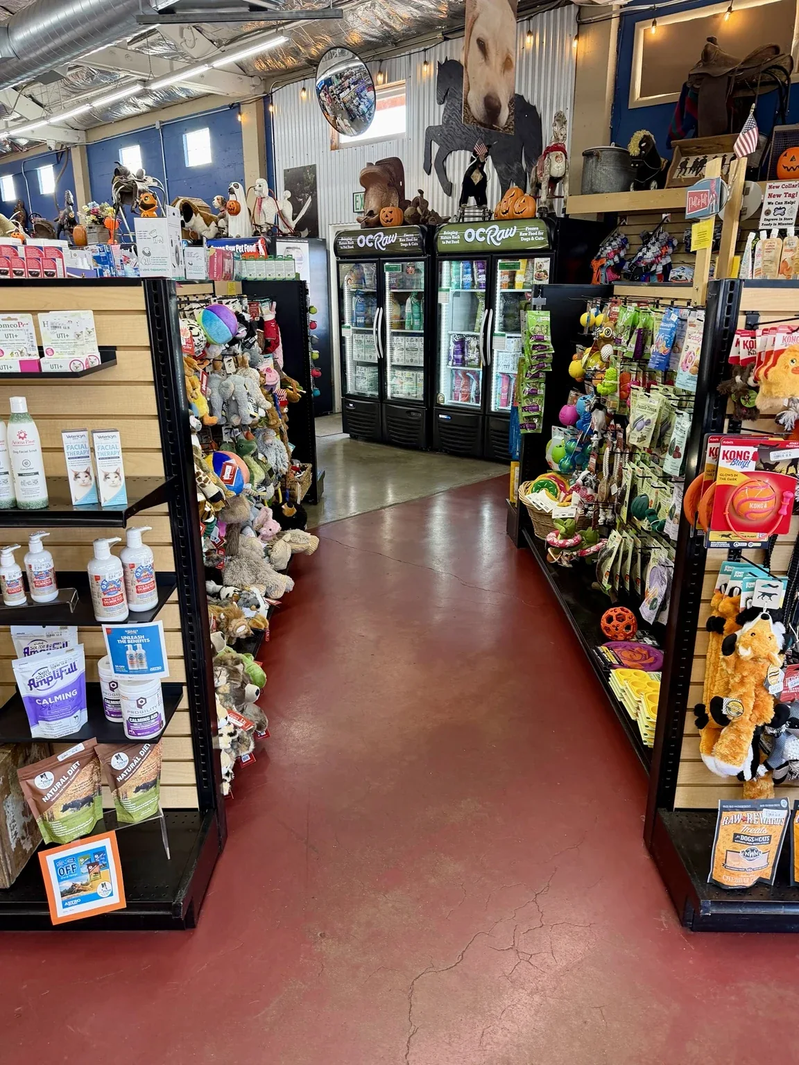 Treats and toys