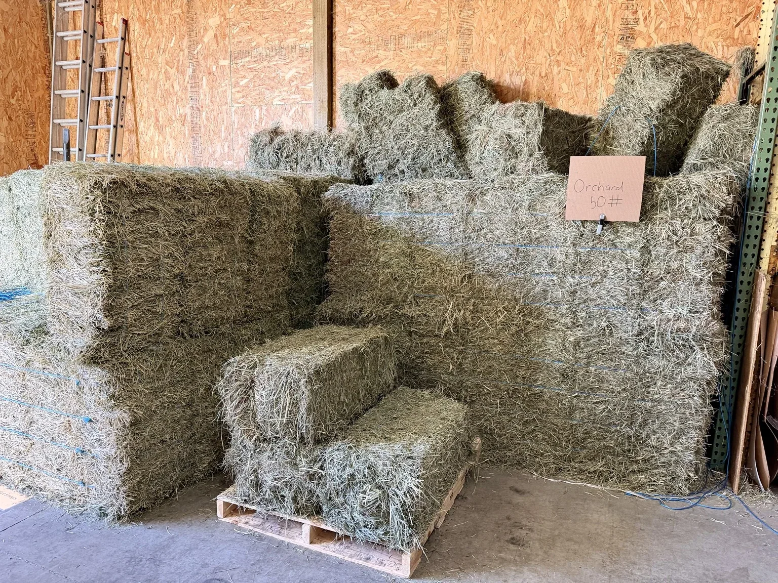 Feed store hay and bagged feed
