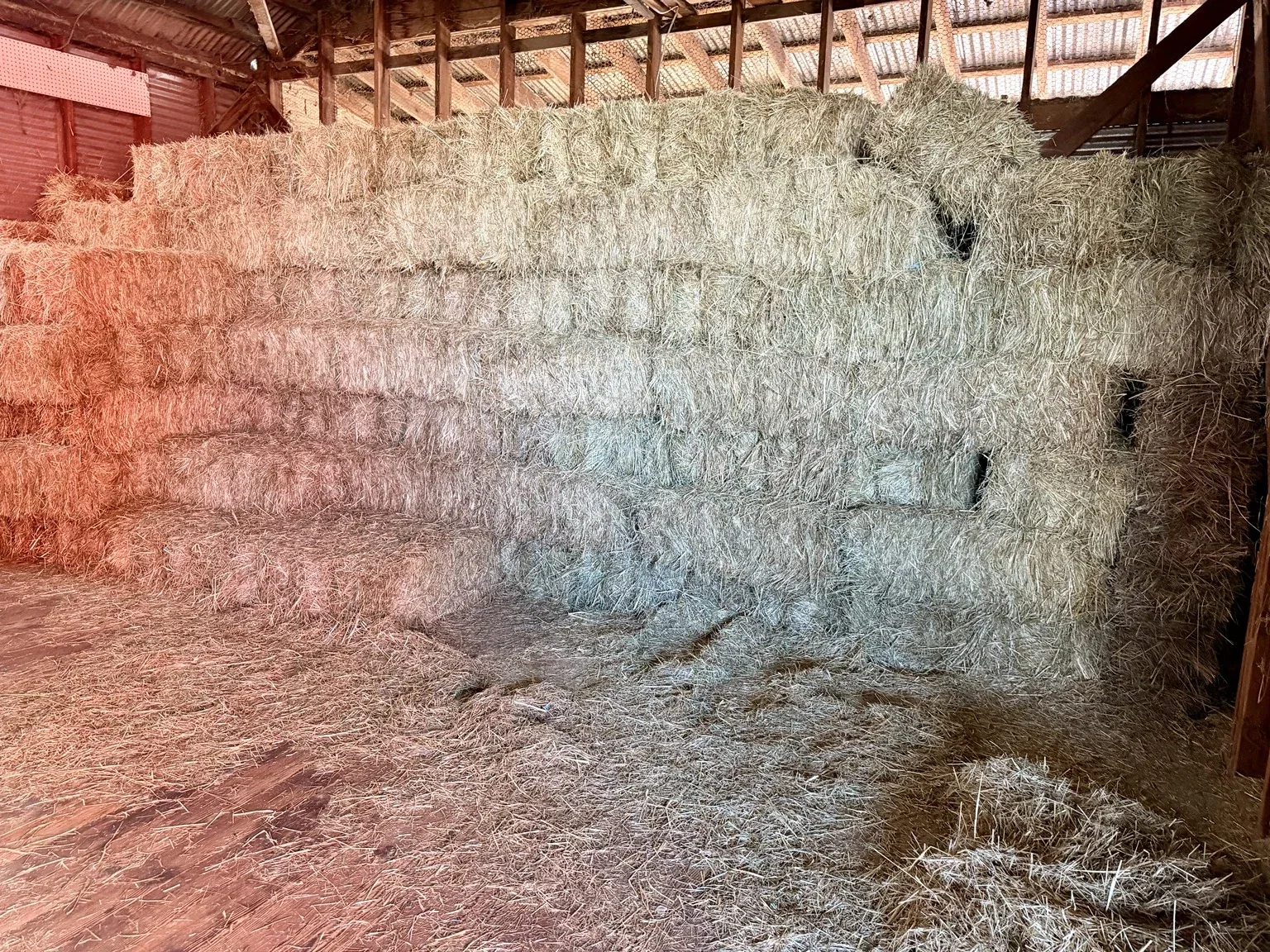 Hay and feed in the McKenzie Feed barn