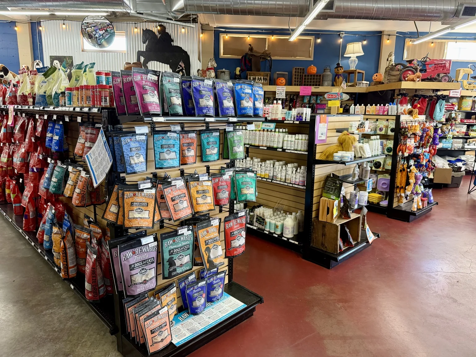 Treats, chews and toys at McKenzie Feed